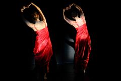 The Movement Orchestra - RED ROSE